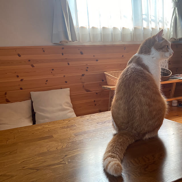 senbei.sakuramochiさんの部屋