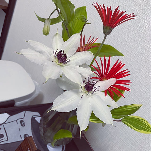 Aruさんの部屋
