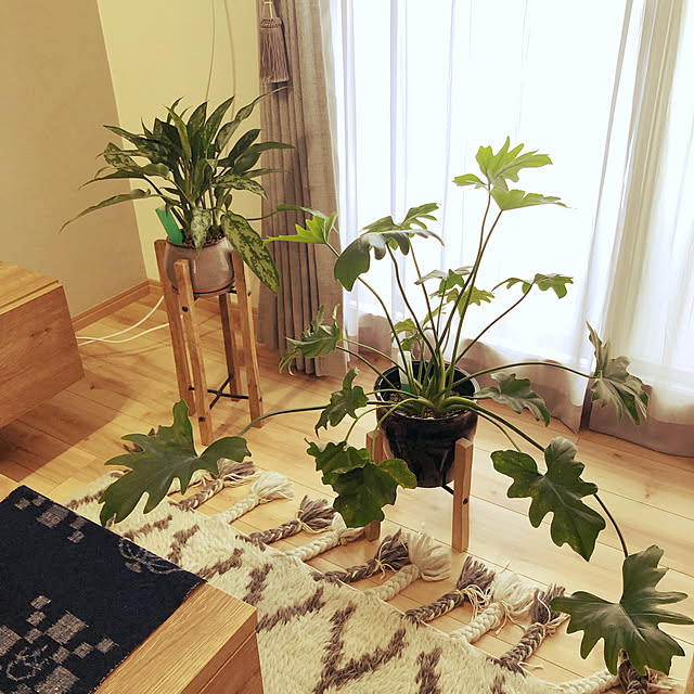 ninopyonsanさんの実例写真