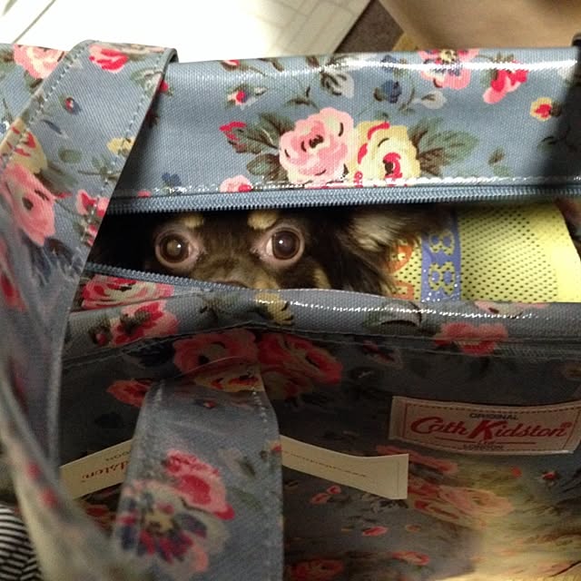 hiyokoさんの実例写真
