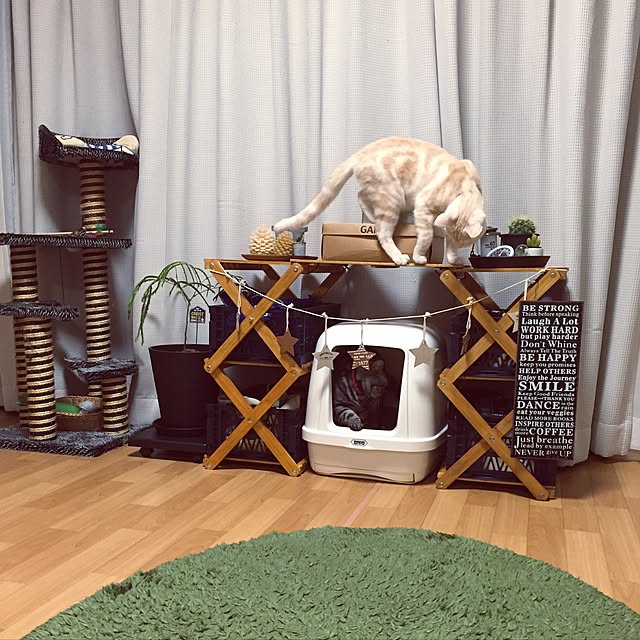 hiyupan88さんの実例写真