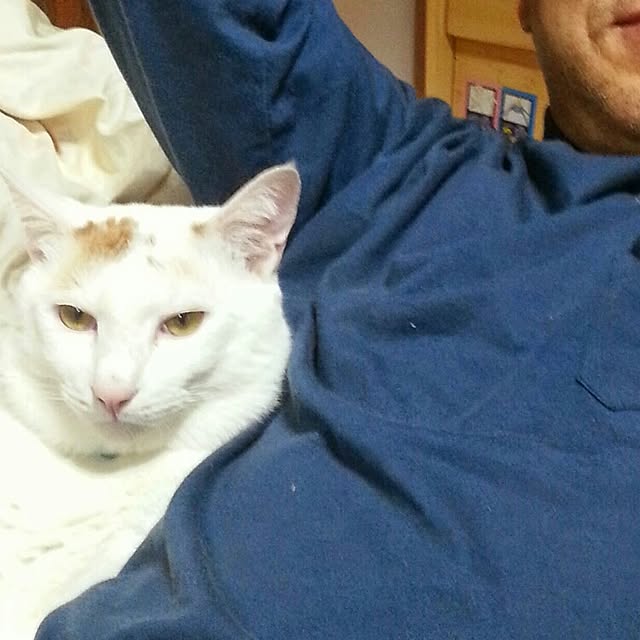 Yukikoさんの実例写真
