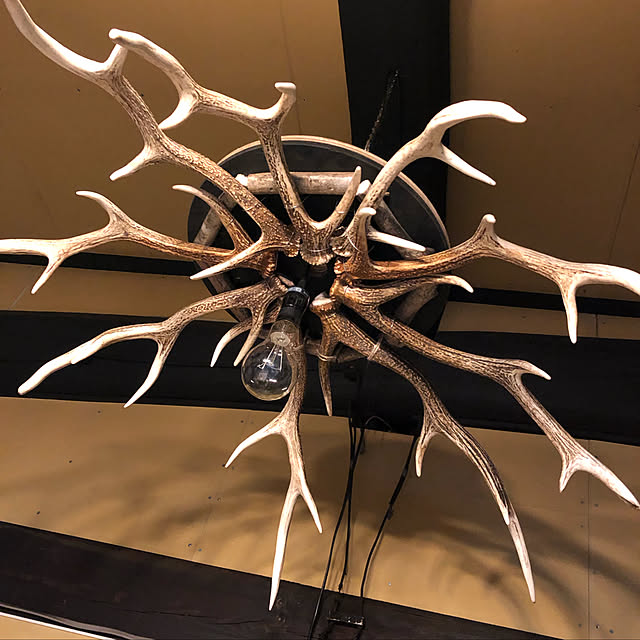 o.t109371samuさんの実例写真