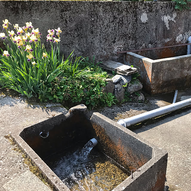 aoinokimiさんの実例写真