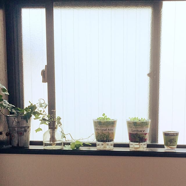 ayakoさんの実例写真