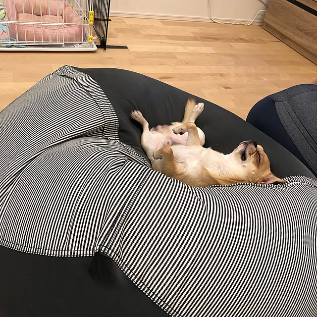 rinaさんの実例写真