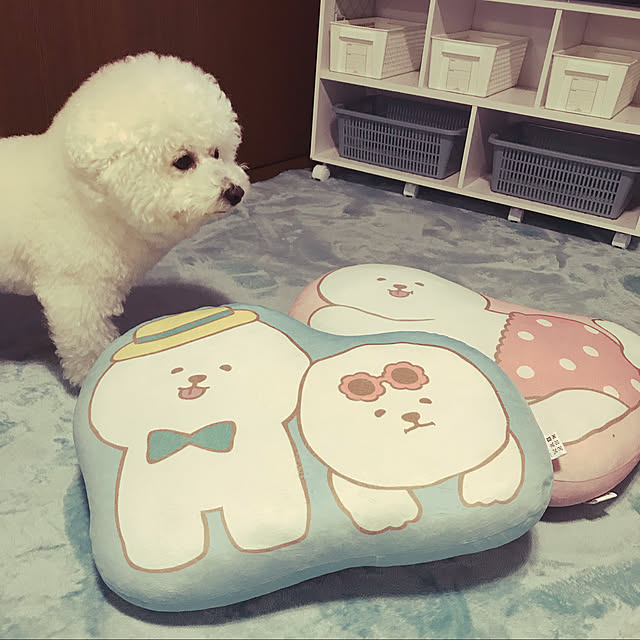 ashimijichibikoさんの実例写真