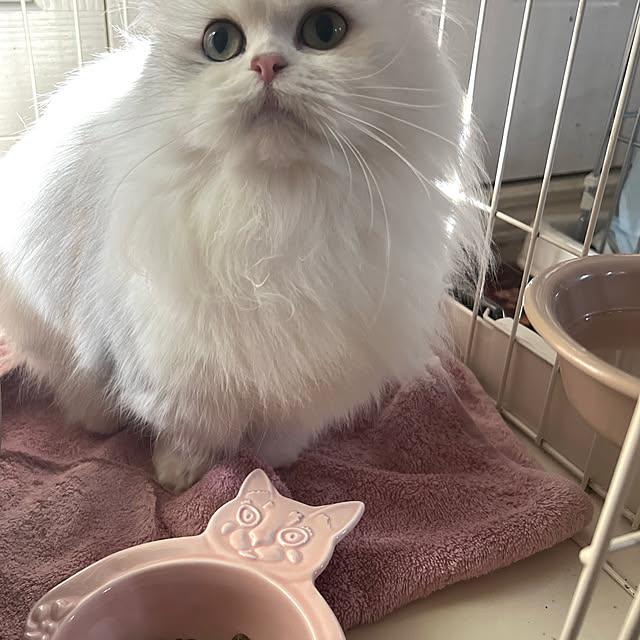 AYUKOさんの部屋