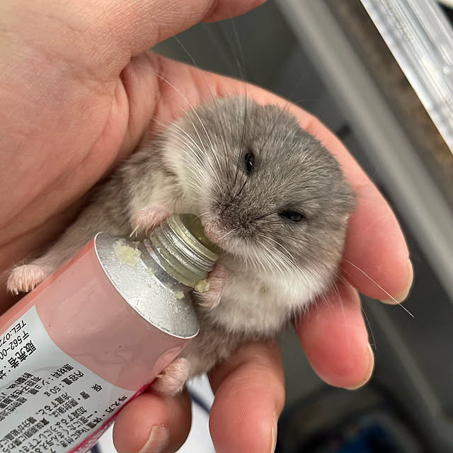 Rainyさんの実例写真