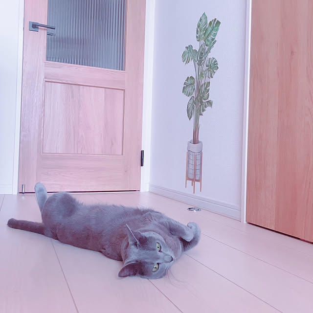 snoopyさんの部屋