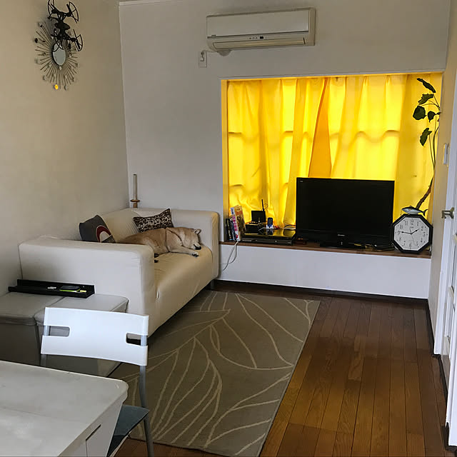 norimoさんの実例写真