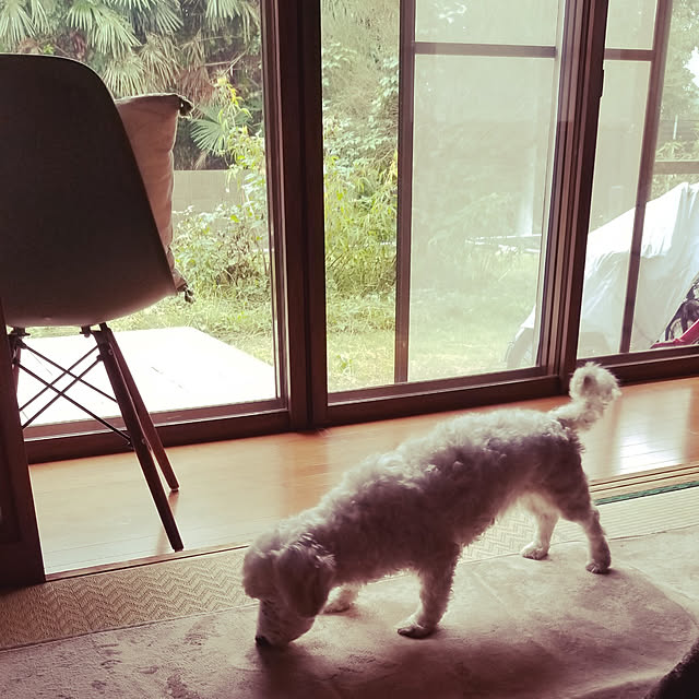 mimoさんの実例写真