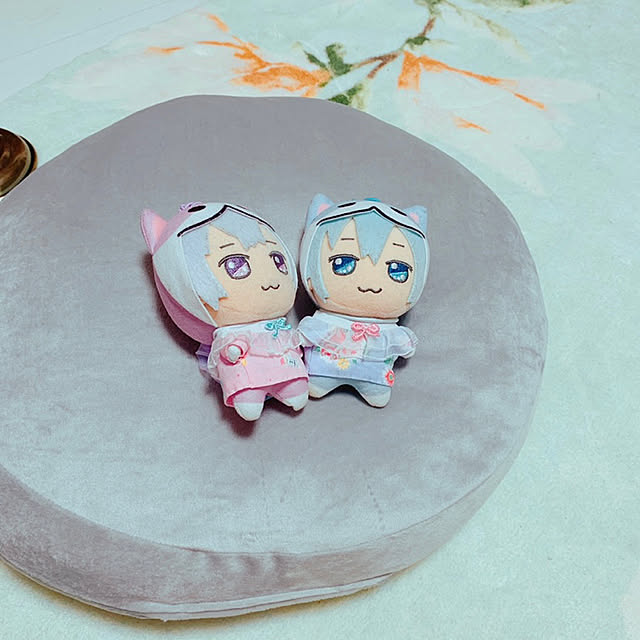 chisouさんの実例写真