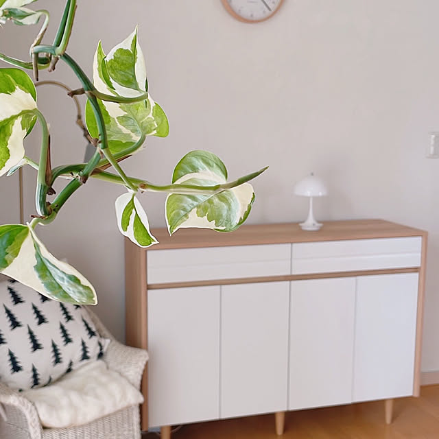 milkcocoaさんの実例写真