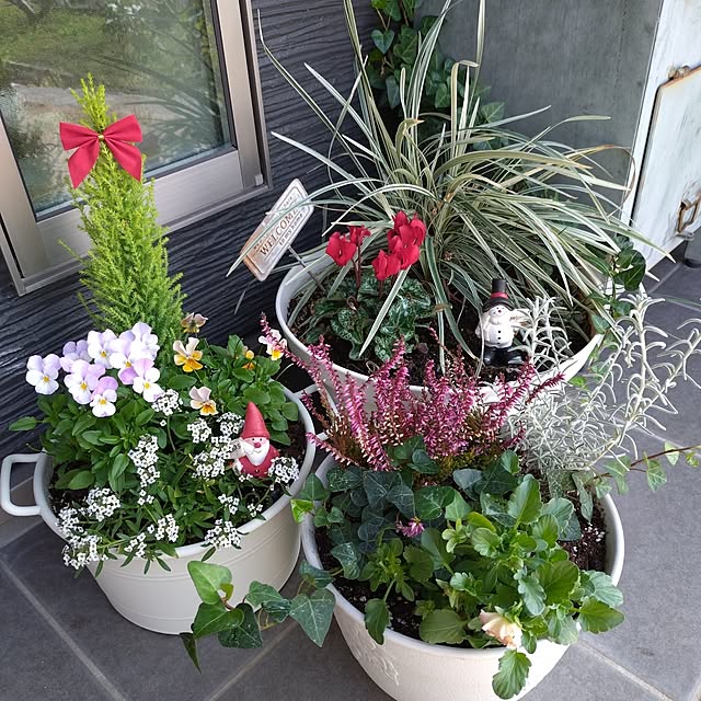 ri-eさんの実例写真