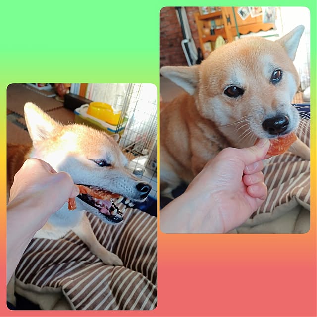 nanaさんの部屋