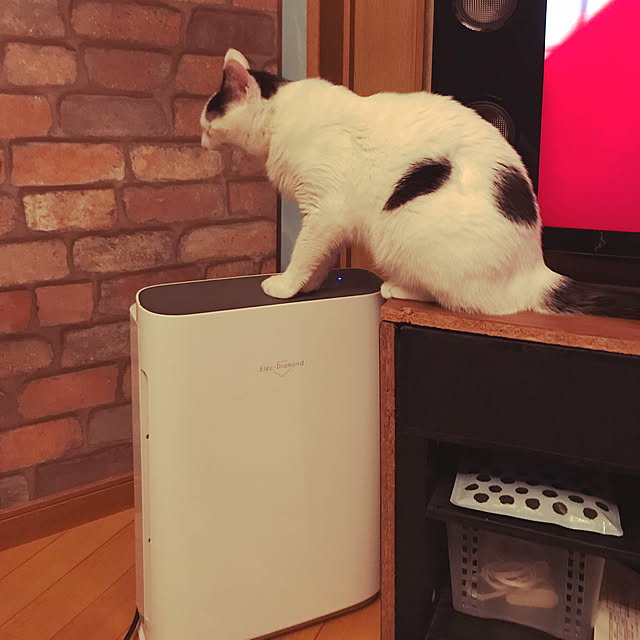 pon8さんの実例写真