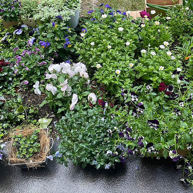 yasuhaさんの部屋