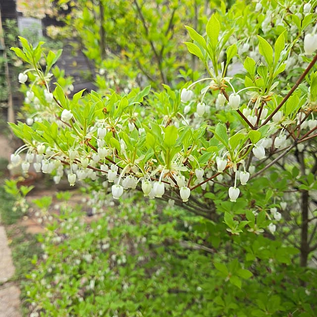 min_nimさんの部屋