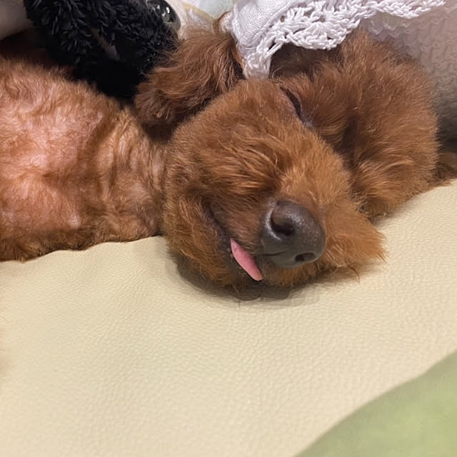 monokoさんの部屋