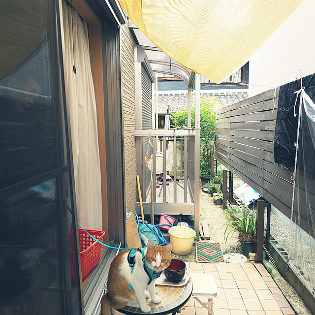 uutann320mozukuさんの実例写真