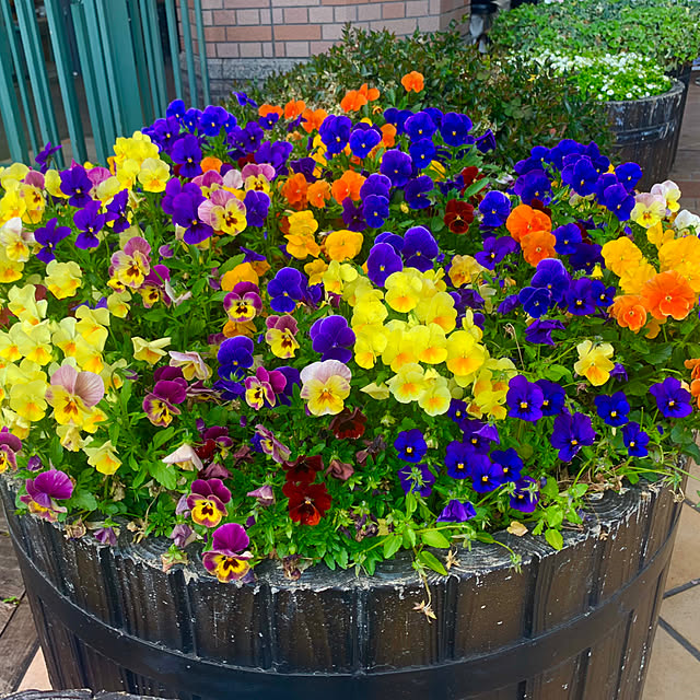 tututu0204さんの部屋