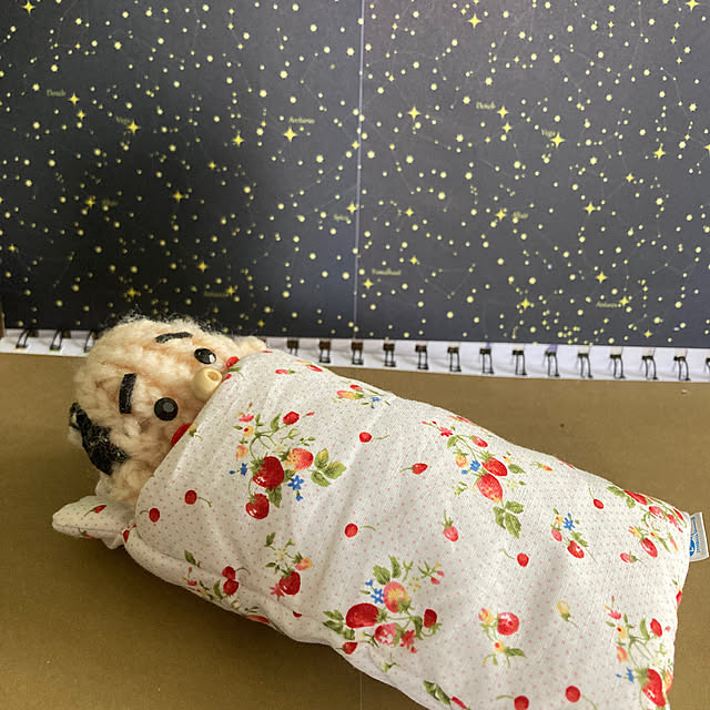 manduonmaさんの実例写真