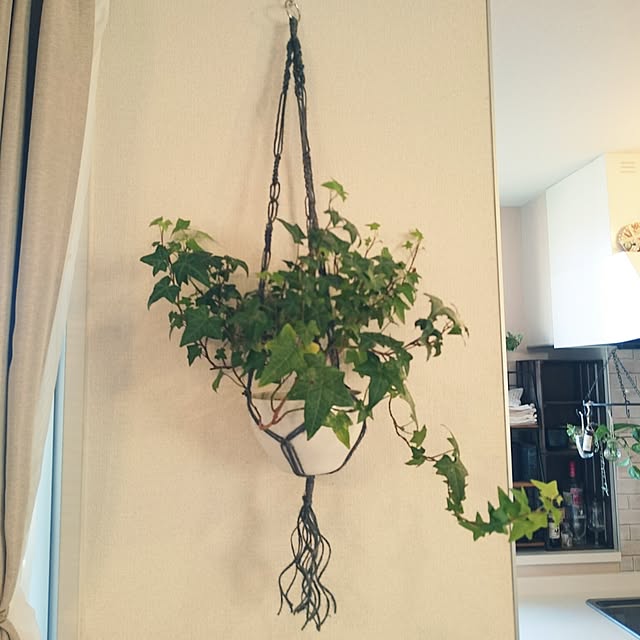 mono_plantさんの実例写真