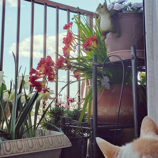 NOAHさんの部屋