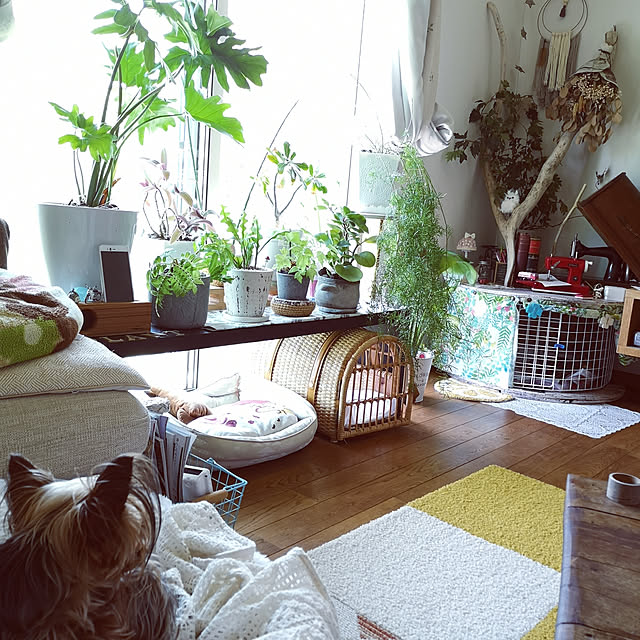 akiさんの実例写真