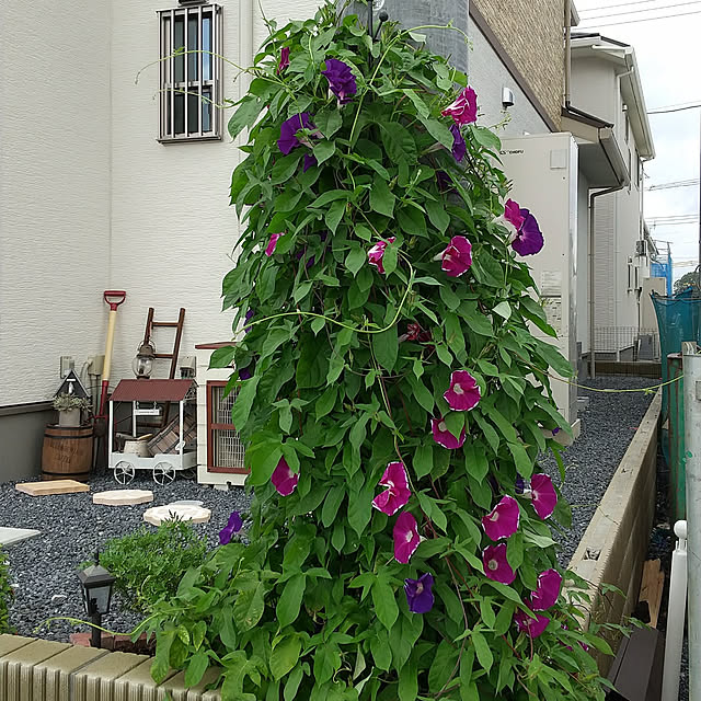 Rinnさんの実例写真