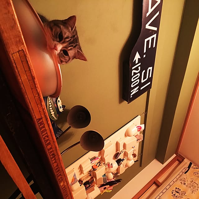 Shojiさんの実例写真