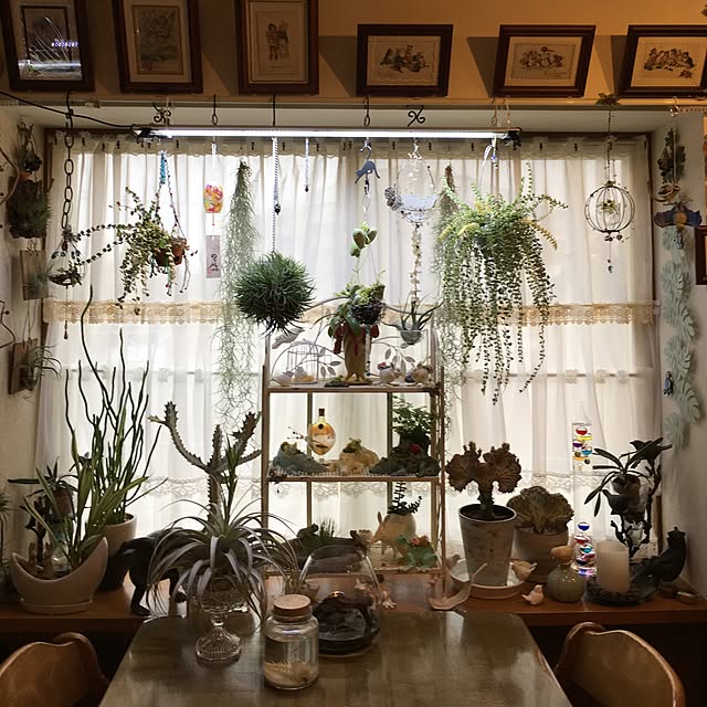 hanakoさんの実例写真
