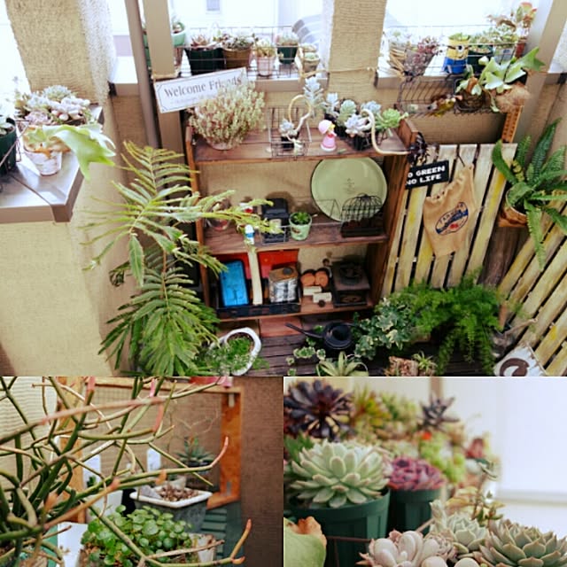 akr29さんの実例写真