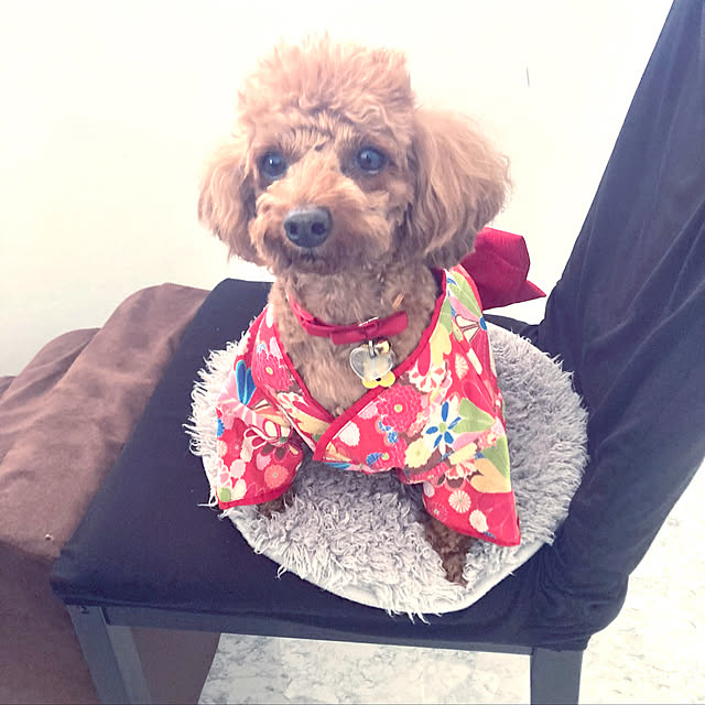 MOMOMAMAさんの実例写真
