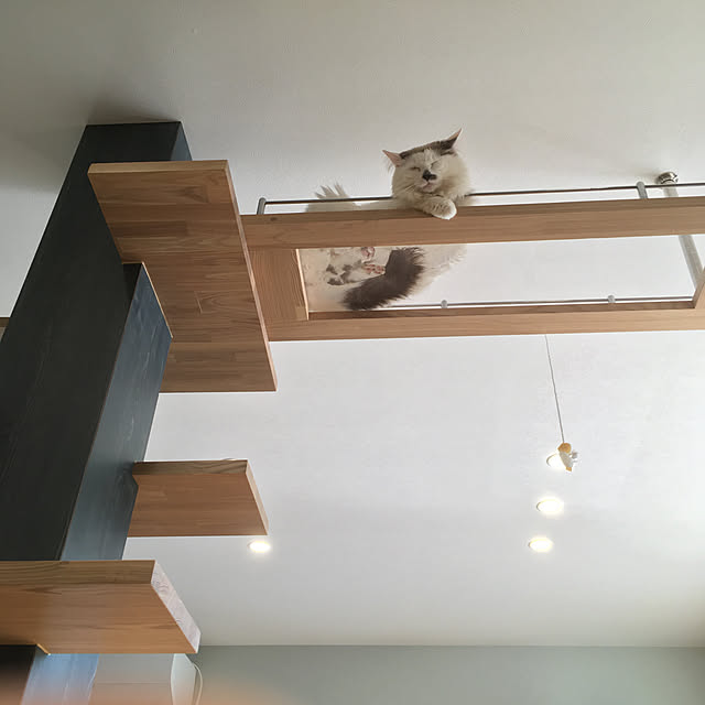 nyancohomeさんの実例写真