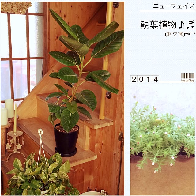 20rose_mamiさんの実例写真