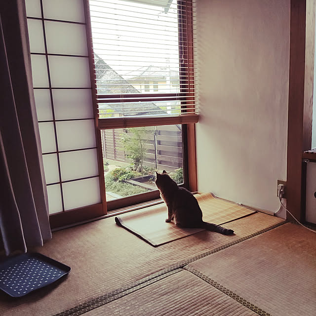 e-mailさんの実例写真