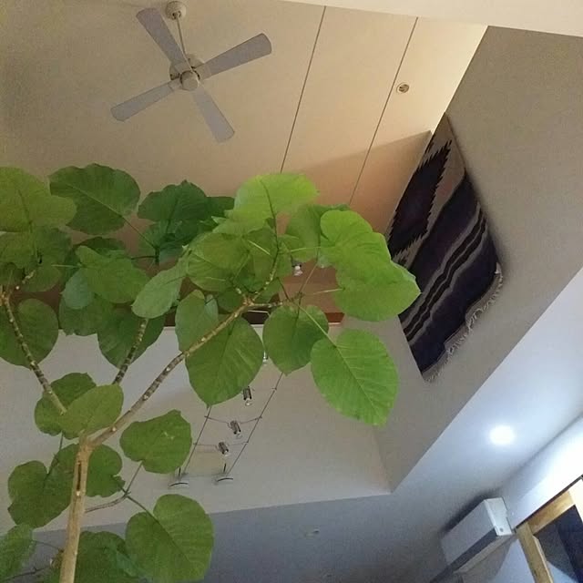 kuuuuさんの実例写真
