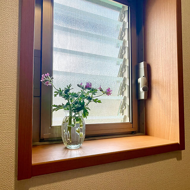 SIELUさんの部屋