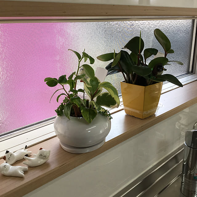 richanさんの実例写真