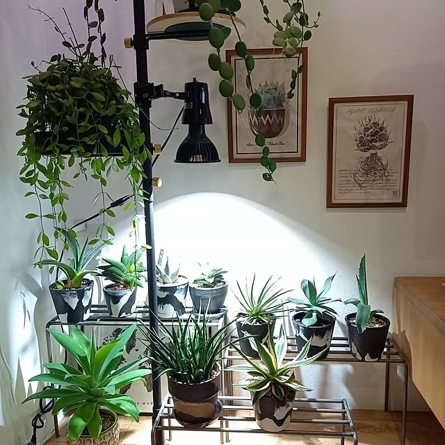Rさんの部屋