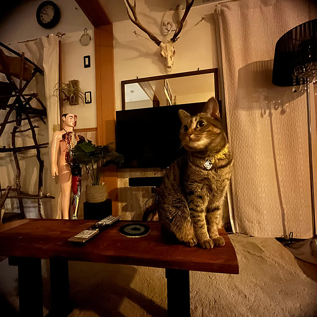 Mさんの実例写真