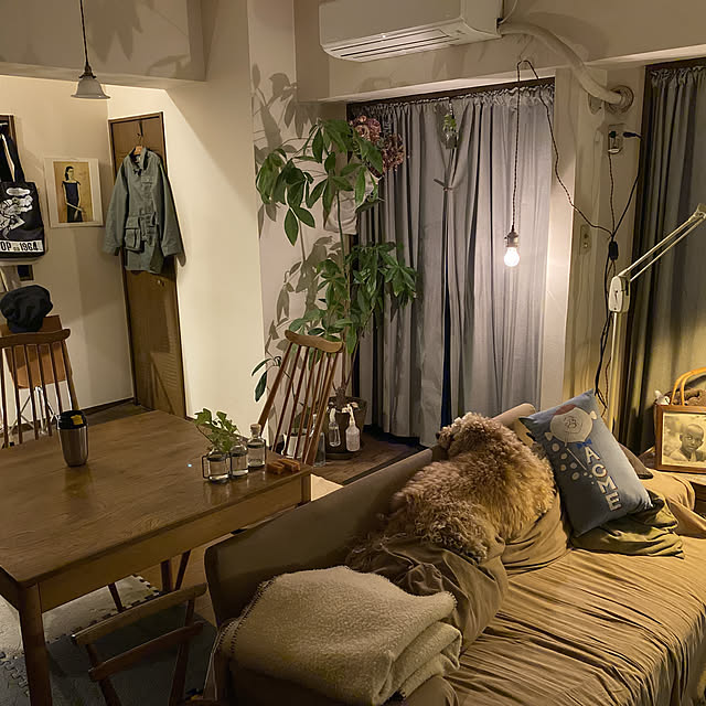 部屋全体/間接照明/観葉植物/アンティーク/レトロ...などのインテリア実例 - 2025-05-27 04:27:27
