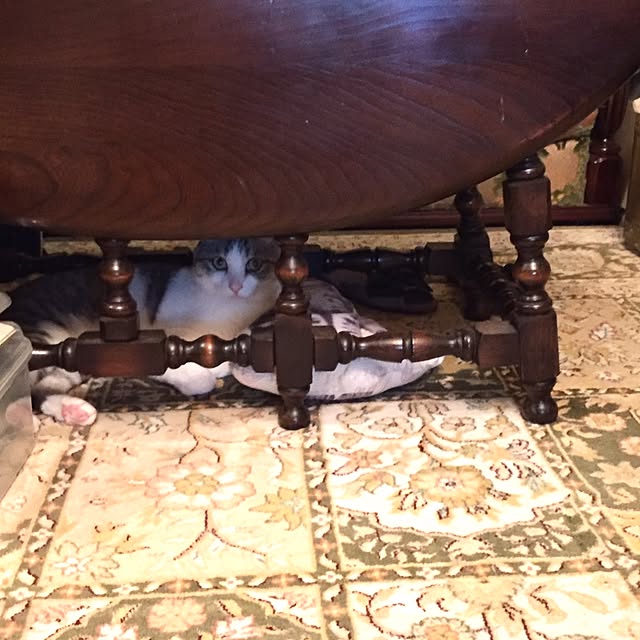 emmyyさんの実例写真