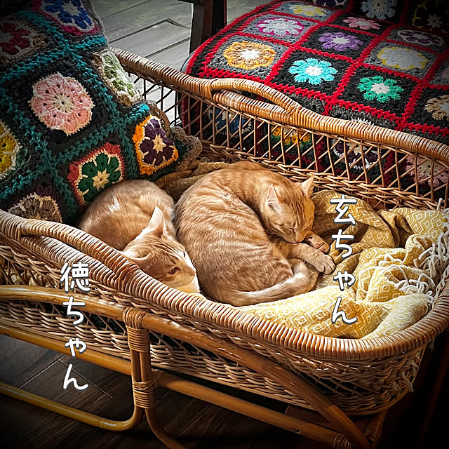 marusanさんの部屋