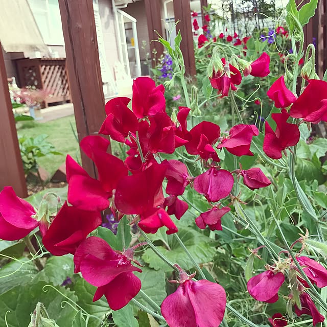 kokko3さんの実例写真