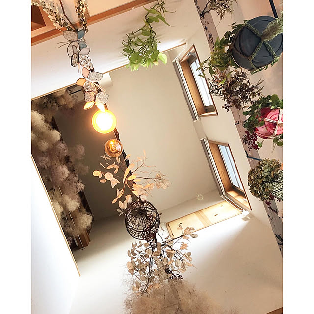 naho81078さんの実例写真