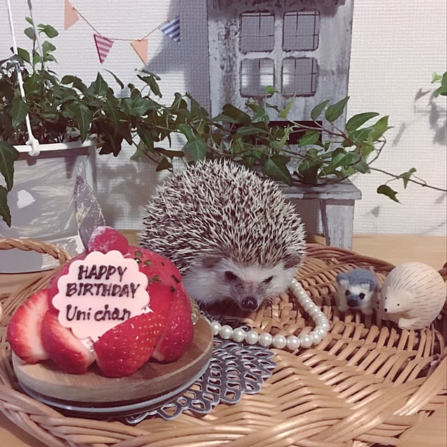 saokoさんの実例写真