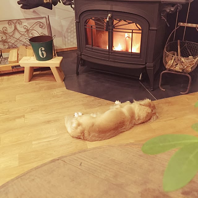 yukariさんの実例写真
